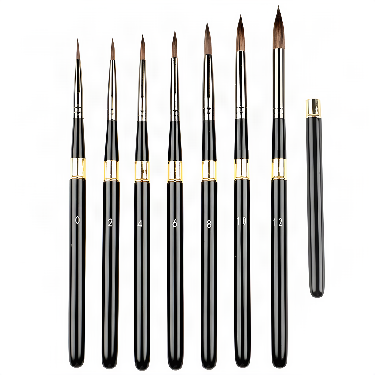 Detachable Watercolor Brush Set