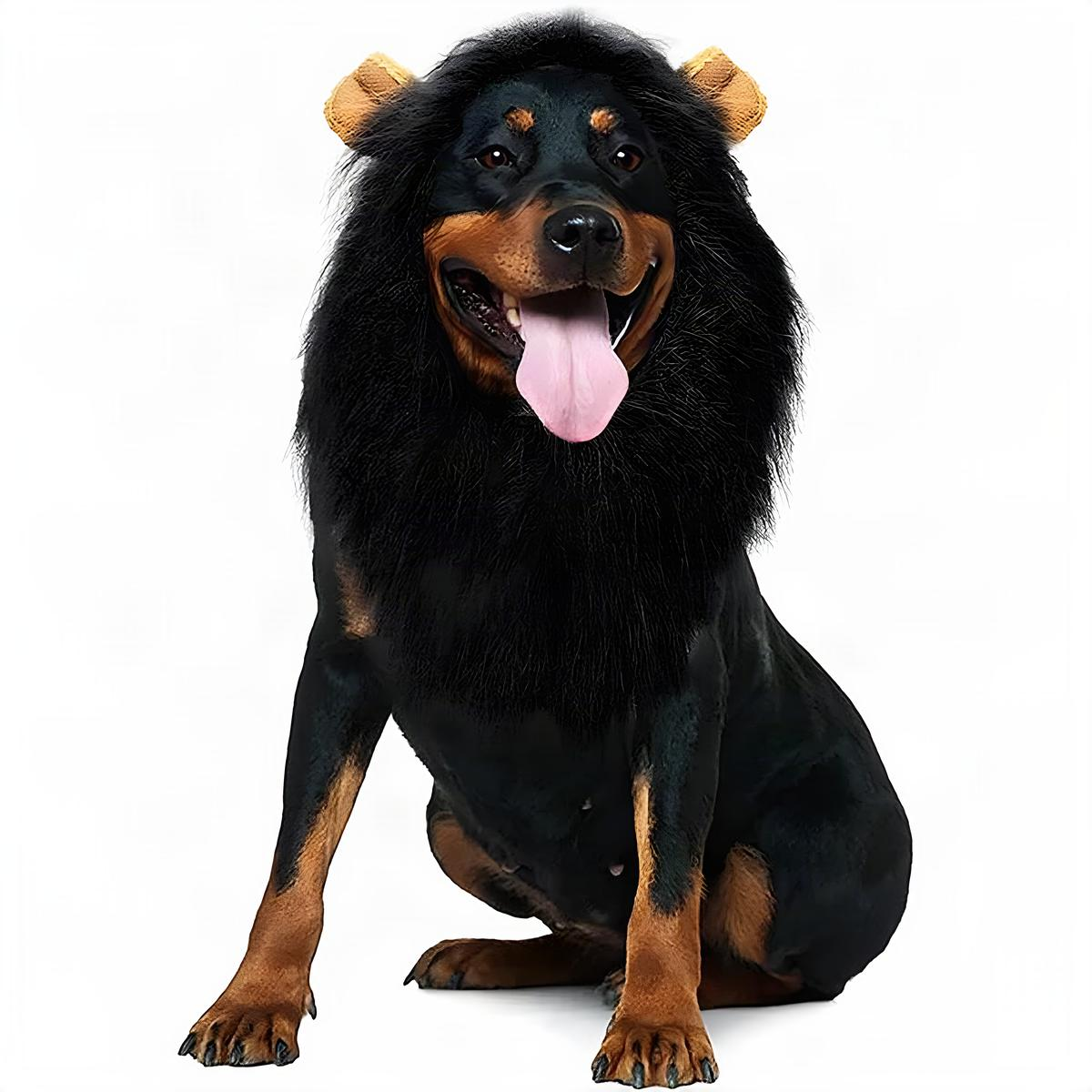 Dog Lion Mane Costume